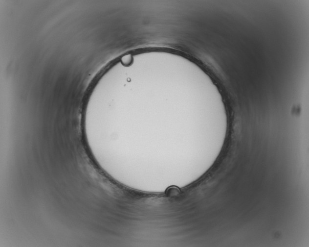 X0000112841268200909181705