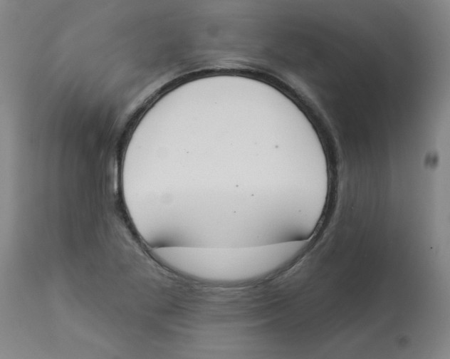 X0000112841269200909181705