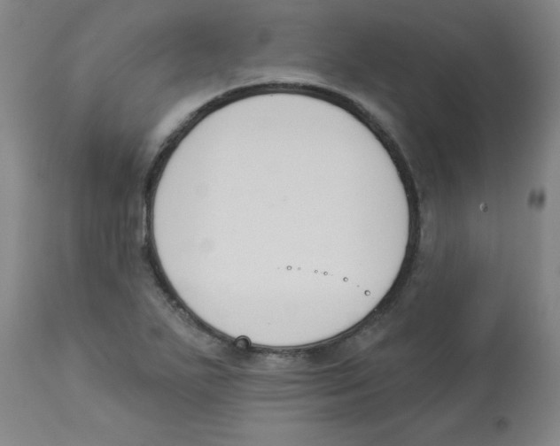 X0000112841271200909181704