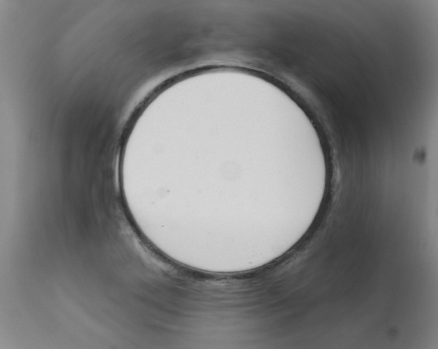 X0000112841272200909181704