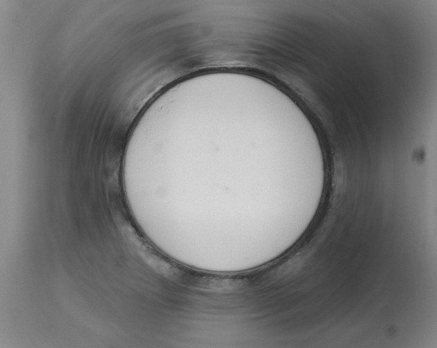 X0000112841273200909181704