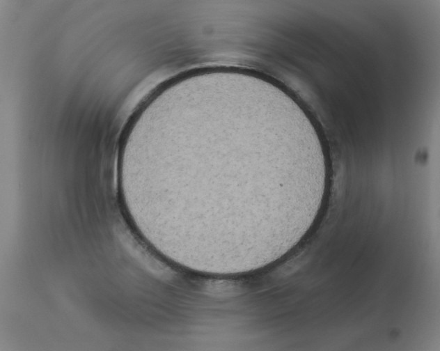 X0000112841275200909181704