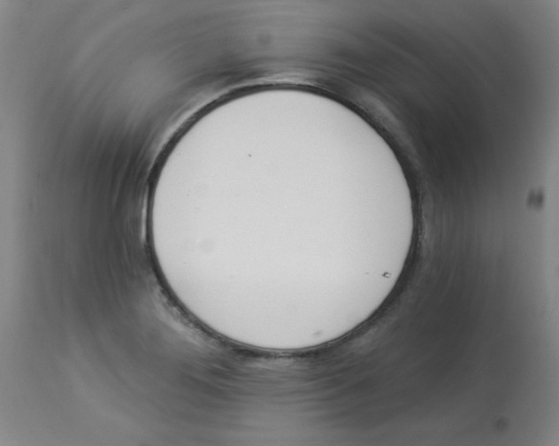 X0000112841276200909181704