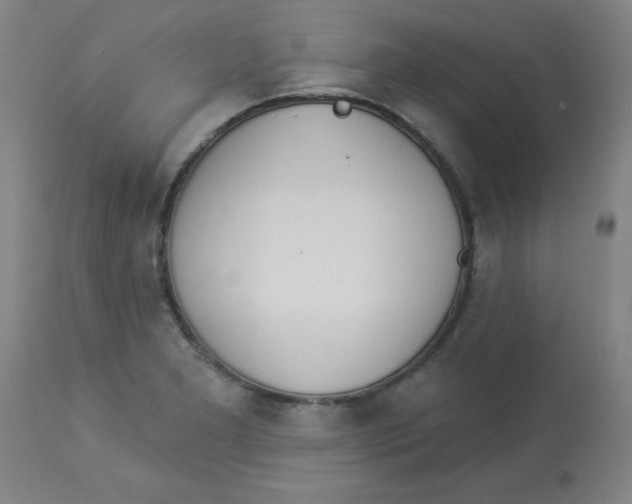 X0000112841277200909181704