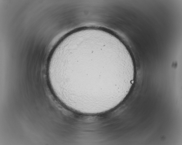 X0000112841279200909181704