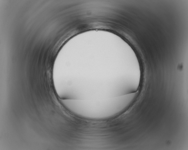 X0000112841281200909181704