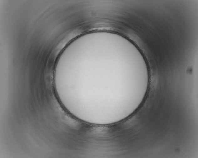 X0000112841282200909181704