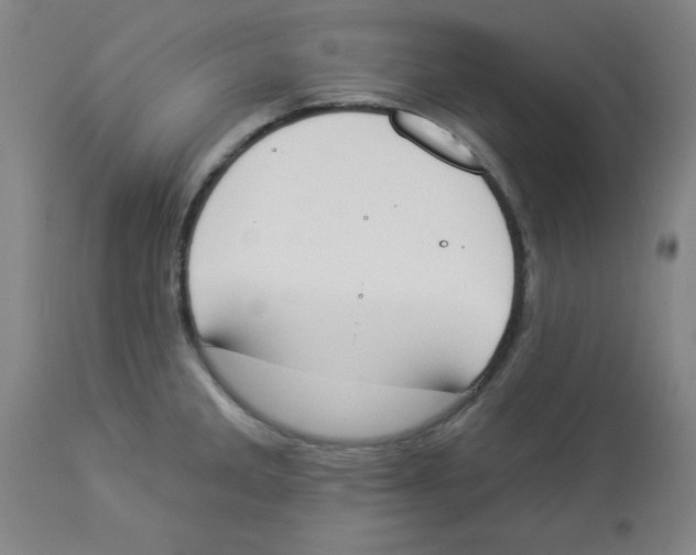 X0000112841285200909181704