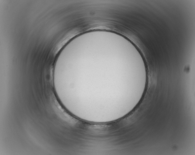 X0000112841290200909181704