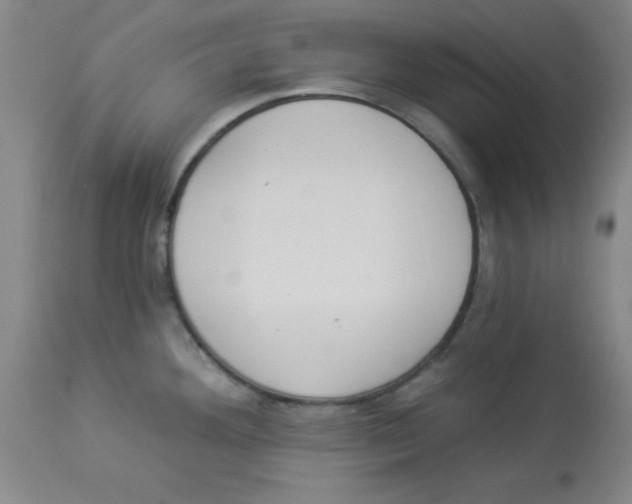 X0000112841292200909181704