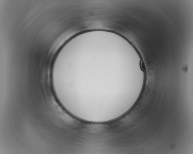 X0000112841293200909181704