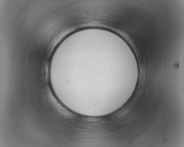 X0000112841295200909181704