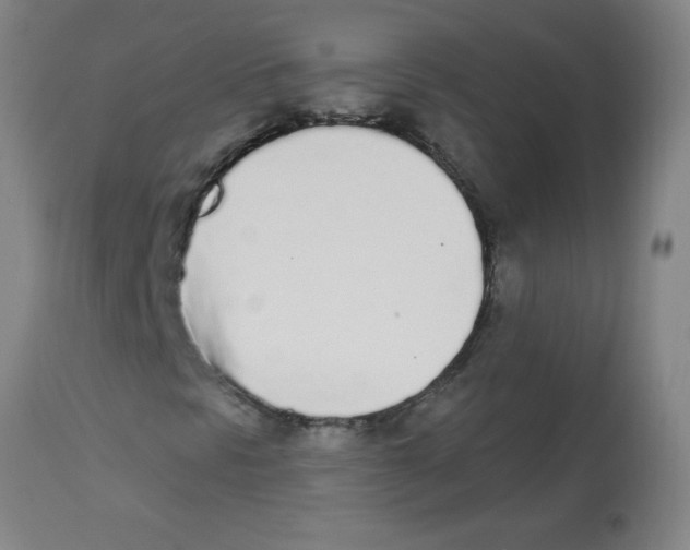 X0000112841297200909181703