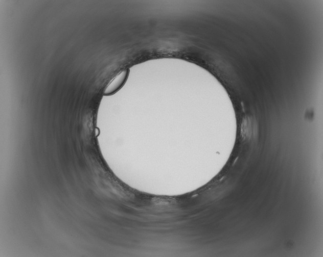 X0000112841299200909181704