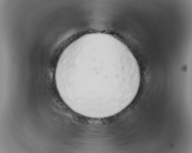 X0000112841302200909181704