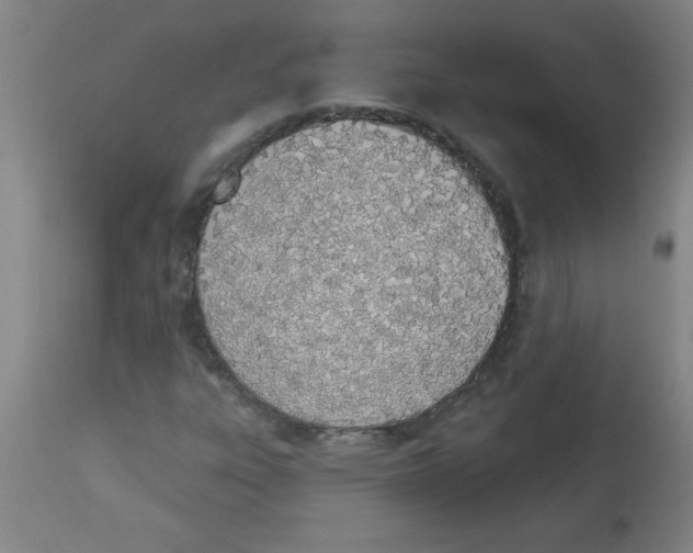 X0000112841303200909181704