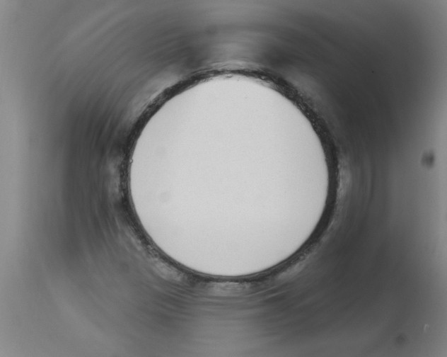 X0000112841305200909181704