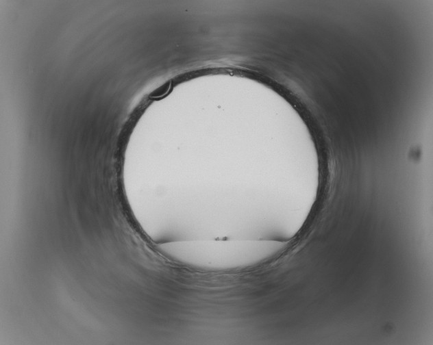 X0000112841308200909181704