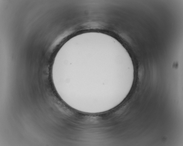 X0000112841309200909181704