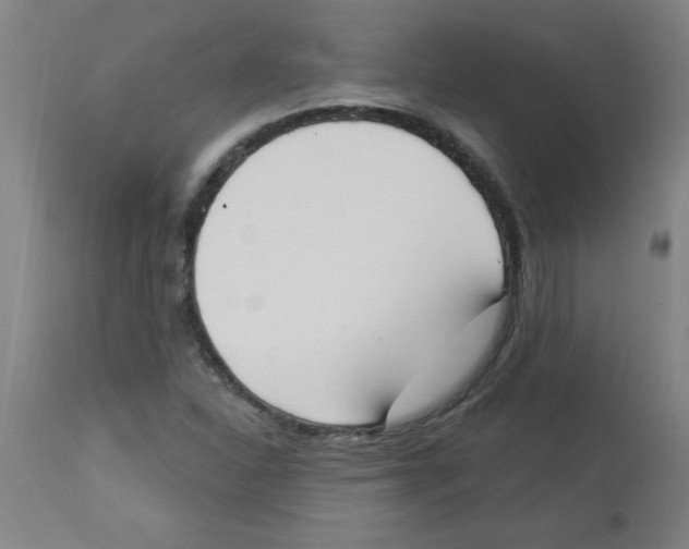 X0000112841310200909181704