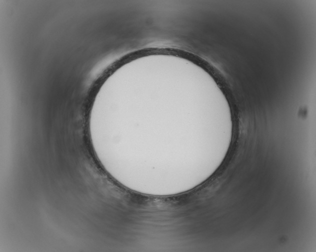 X0000112841311200909181704