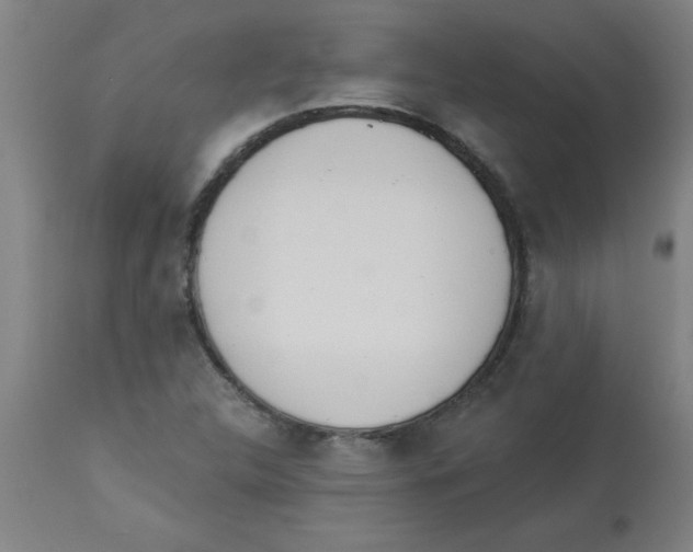 X0000112841312200909181704