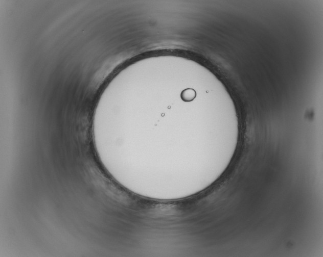 X0000112841313200909181704