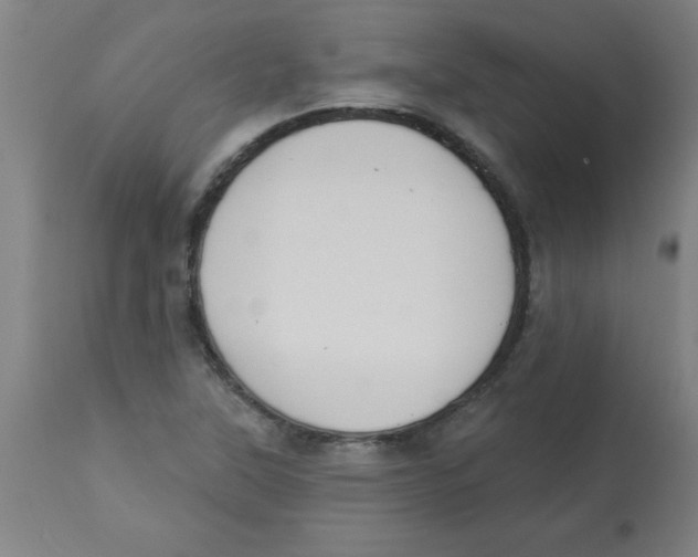 X0000112841315200909181704