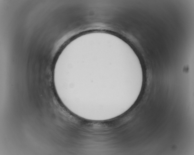 X0000112841318200909181704