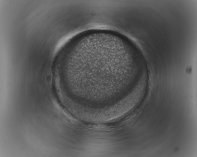 X0000112841319200909181704