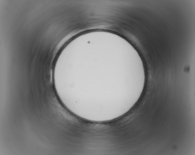 X0000112841324200909181704