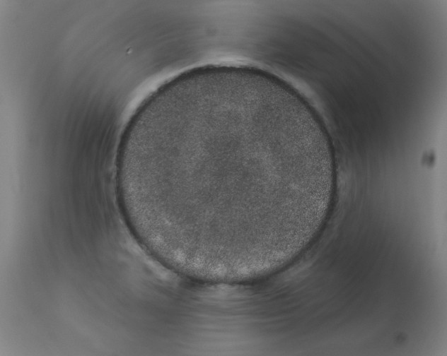 X0000112841327200909181704