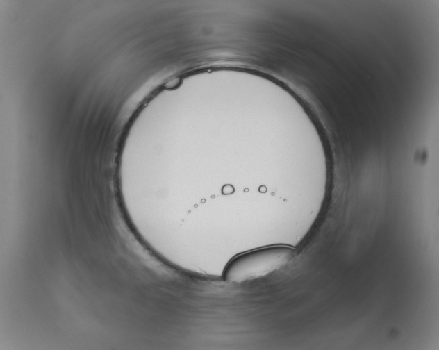 X0000112841333200909181704