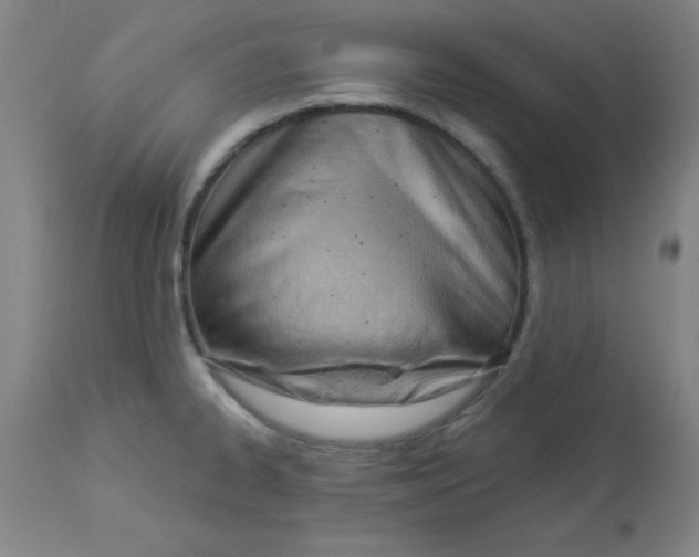 X0000112841334200909181704