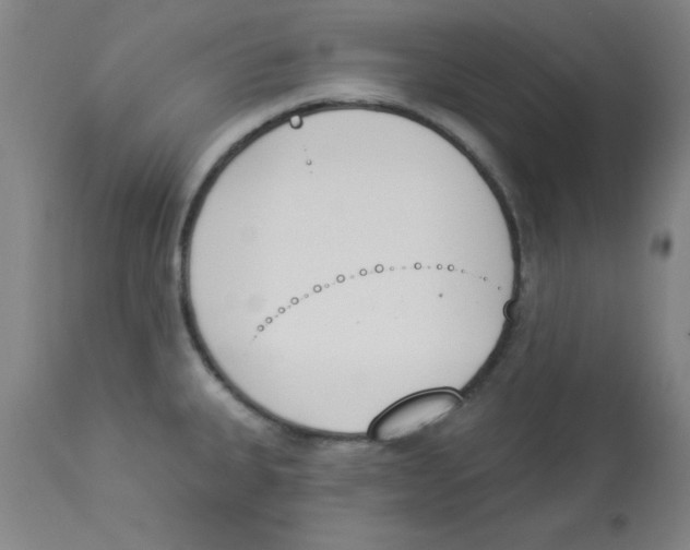 X0000112841335200909181704