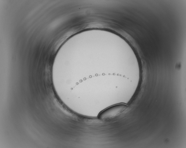 X0000112841337200909181704