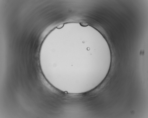 X0000112841344200909181704