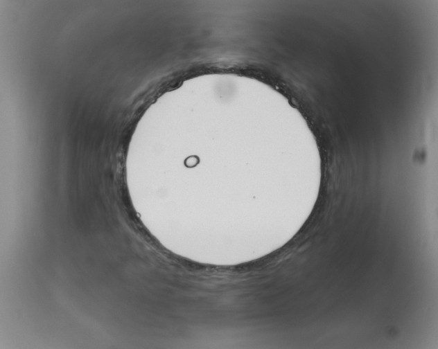 X0000112841349200909181703