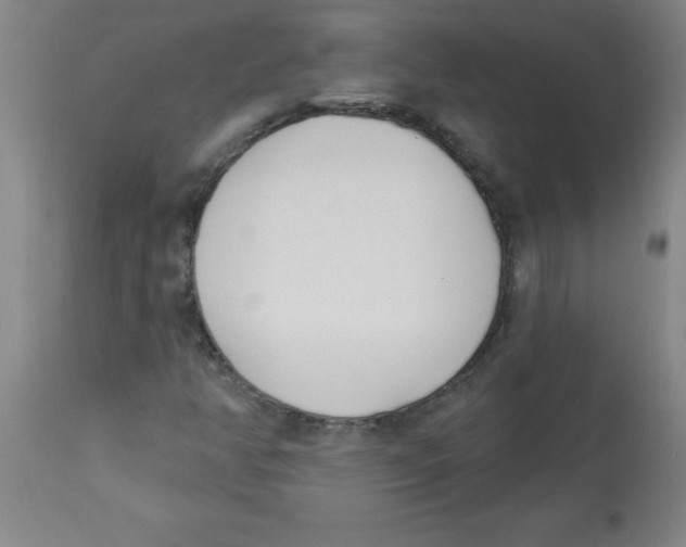 X0000112841350200909181703