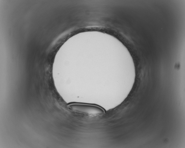 X0000112841351200909181703