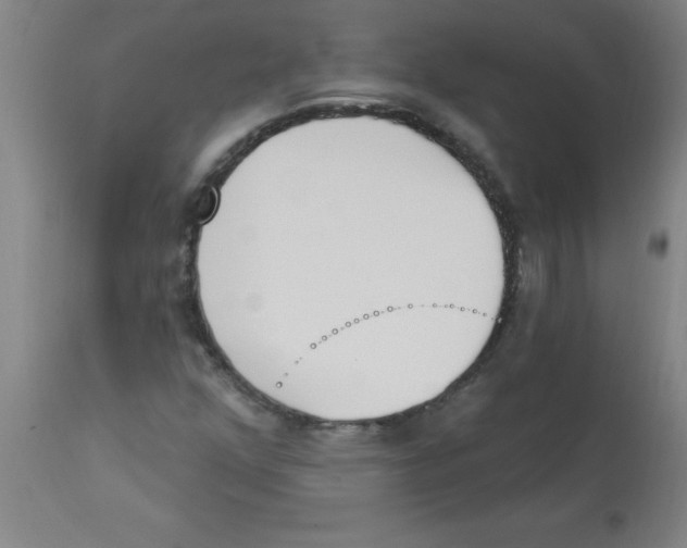 X0000112841352200909181703