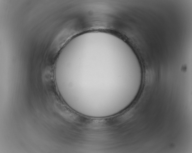 X0000112841353200909181703