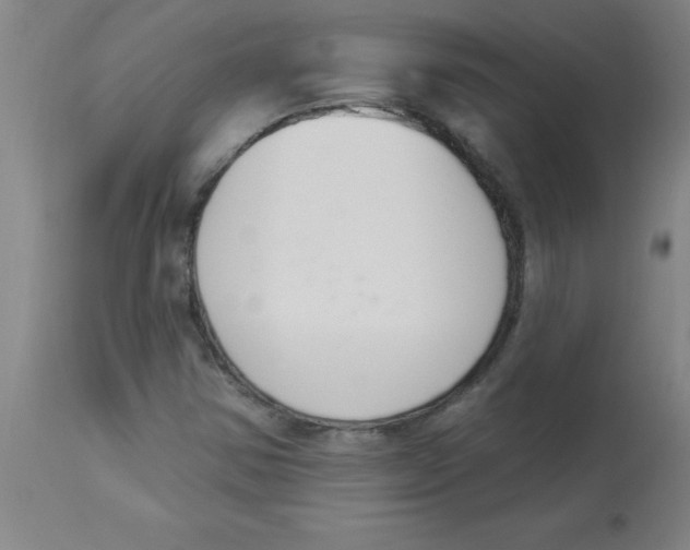 X0000112841354200909181703