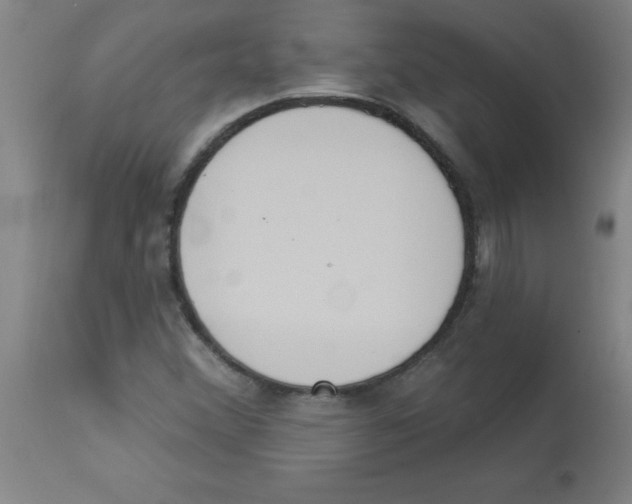 X0000112841356200909181703