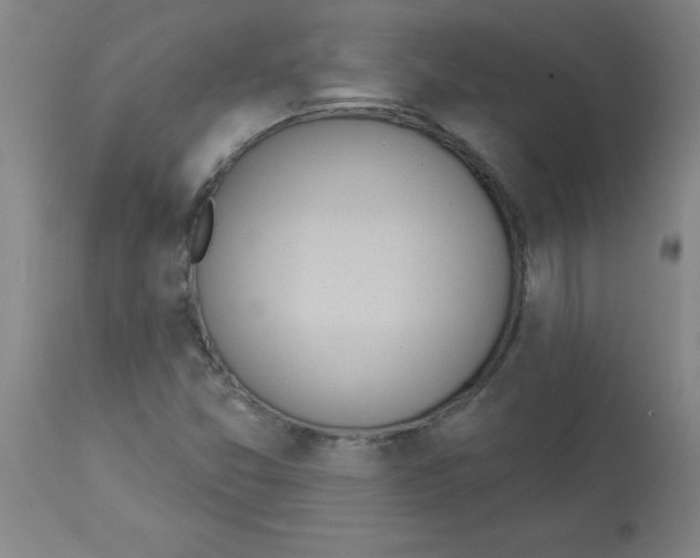 X0000112841357200909181703