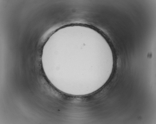 X0000112841359200909181703