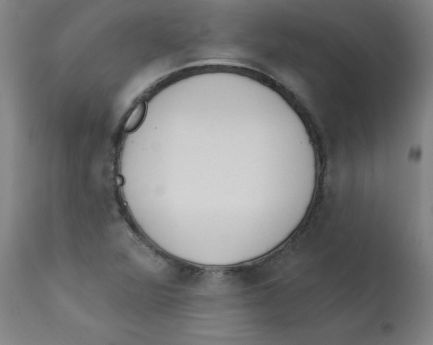 X0000112841360200909181703