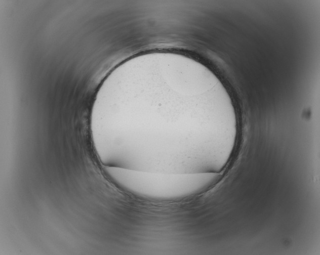 X0000112841361200909181703