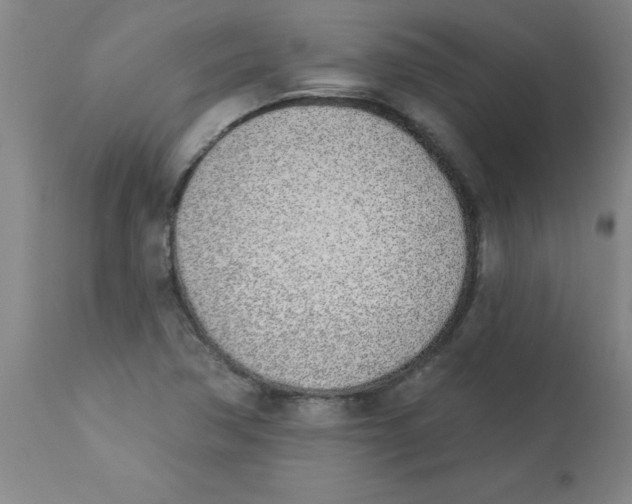 X0000112841362200909181703