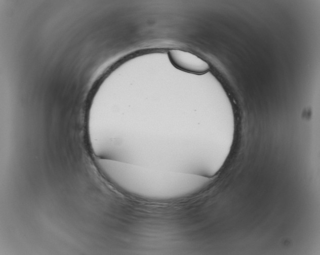 X0000112841364200909181703